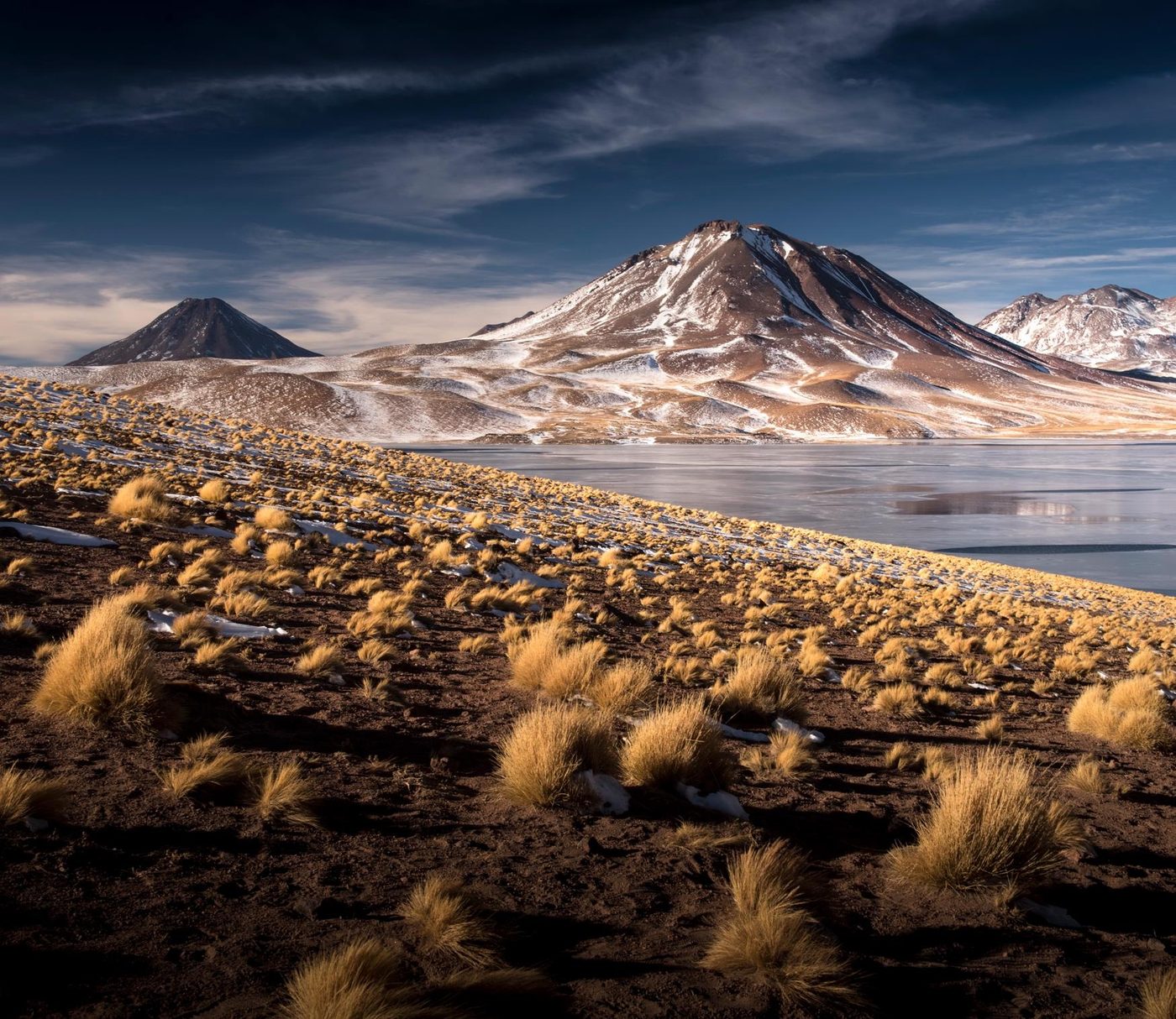An altiplano lagoon at the foot of volcanoes, among golden grassland