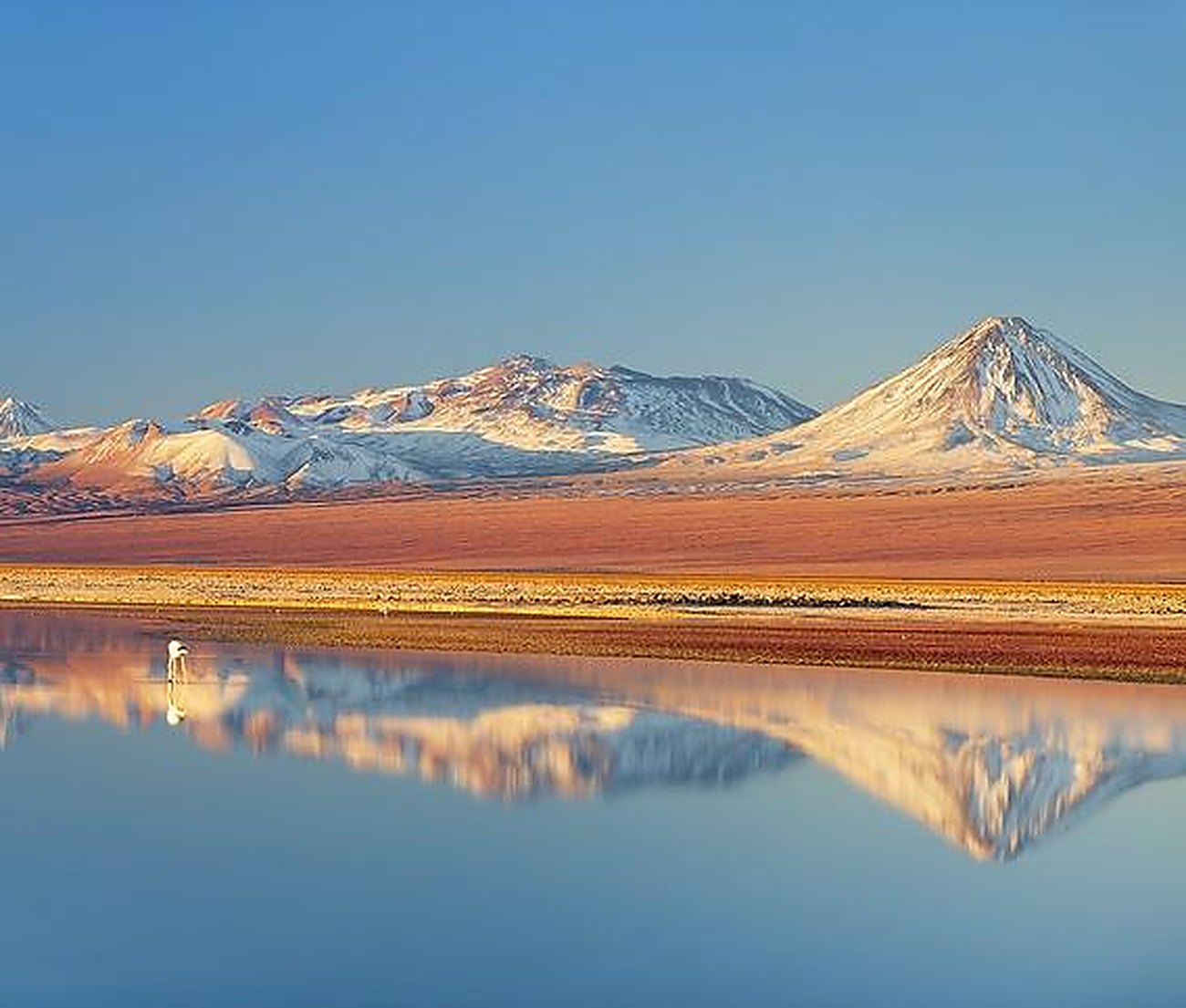 Snow-capped volcanoes reflected in the turquoise water of Laguna Miscanti